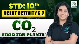 NCERT Class 10 Activity 6.2: To Demonstrate carbon dioxide is Essential for Photosynthesis