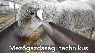 Török János Református Mezőgazdasági és Egészségügyi Technikum és Szakképző Iskola