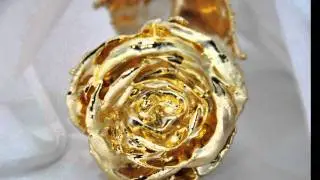 Unique Gift Ideas - Natural Flora