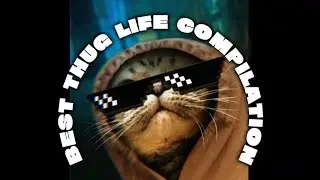 Best Thug Life Compilation Part 76