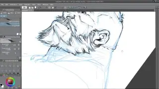 Ig Guara Live Stream