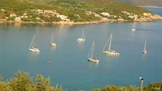 Apartments Mara - Molunat - Croatia