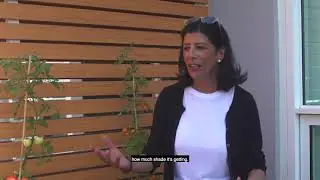 How to start growing your own food  LifeSpace Garden customer testimonials, Self Watering Gardens
