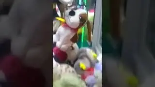 Cachorro eletr&ocirc;nico da BR Machine!!! ⭐