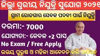 Gram Rozgar Sevak ( GRS ) Recruitment 2021. Odisha District Level Job 2021. || Odisha New Job ||