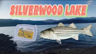 🔥 STRIPED BASS FISHING AT SILVERWOOD LAKE / PESCA DE STRIPED BASS IN SILVERWOOD LAKE
