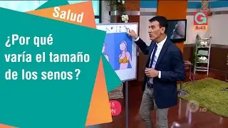 &iquest;Por qu&eacute; var&iacute;a el tama&ntilde;o de los senos? | Salud