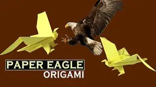Origami eagle - Step by Ste