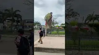 Pajan - Manabi