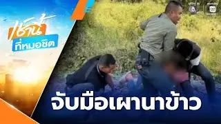 คาหนังคาเขา จับมือเผานาข้าว | เช้านี้ที่หมอชิต