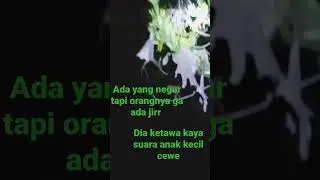 SEREM ANJIR  ADA SUARA KUNTI #horrorstory#mancingmalamhari#short