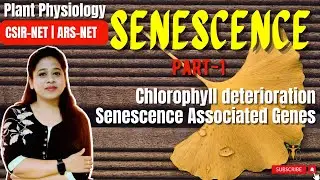 Senescence (Part 1) | Chlorophyll Deterioration Mechanism | SAG Genes CSIR-NET | ARS NET