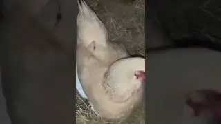 Das ist wahre F&uuml;rsorge!