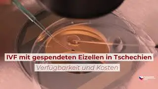IVF mit gespendeten Eizellen in Tschechien