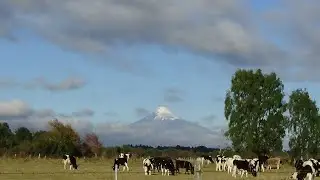 Chilean Homestead During Virus