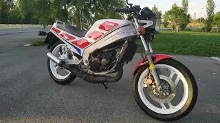Yamaha TZR 80 Deltabox by Motosoldschool