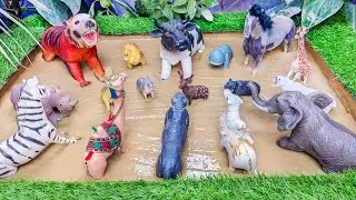African Animals Adventure in the Mud 🌿⏳ Playful Learning Video for Kids