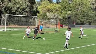Goal, player 21 (2012B)