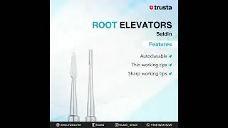 ROOT ELEVATORS SELDIN