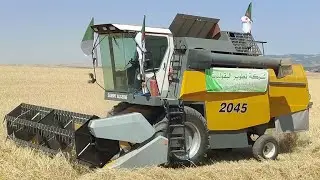 اسوق أهراس  : إنطلاق حملة الحصاد والدرس للموسم الفلاحي الجاري