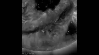 Giant Dark Spot and Line On The Sun  #space #solaractivity #science