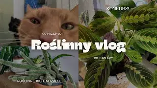 🎥ROŚLINNY VLOG 🏆KONKURS🏆CO NOWEGO KUPIŁAM? CO PRZEŻYŁO? 🌿ROŚLINNE ŁUPY Z BIEDRY 💸