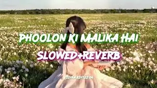 Phoolon ki malika hai🌹💫 [Slowed+Reverb] Feel this lofi song@vedika_editzz04 