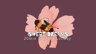 20 Min Sensory Lullaby 