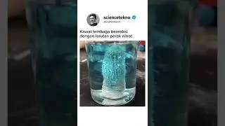 Kawat Tembaga jika dimasukkan ke dalam larutan Perak Nitrat