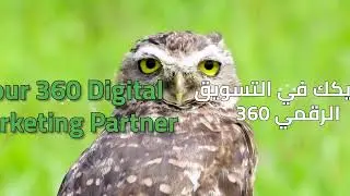 We can do 360 for you | Digital Marketing Services