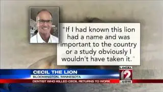 Minnesota dentist who killed Cecil the lion returns to work