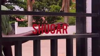 AFROTAINERS X OXLADE ( SHUGAR DANCE COVER )