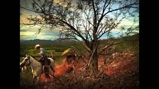 PhaseOne IQ180 with the Sonoran Cowboys