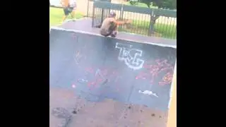 Arkansas Skateboarding