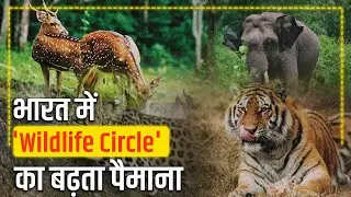 World Wildlife Day पर भारत की अनोखी वन्यजीव संरक्षण यात्रा