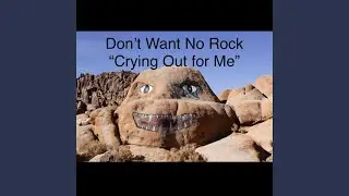 Don't Want No Rock