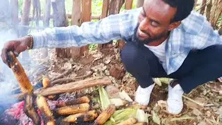Birraan barihee asheeta gannaa koottaa haanyaannuu