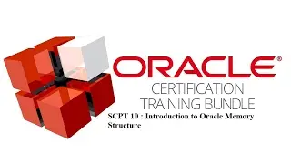SCPT 10 : Introduction to Oracle Memory Structure