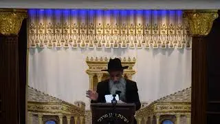 הרב מאיר דוד שמואלי שליט