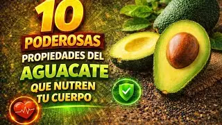 10 poderosas propiedades del aguacate que nutren t
