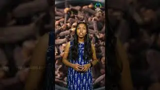 Узнайте о пользе гвоздичной воды | Здоровье | Гвоздика