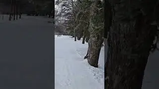 exploring nature in winter canada pt 28