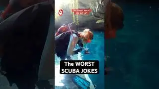 Scuba jokes that some divers never got 🤷&zwj;♂️🤿💦 #scubadiving #funnyshorts #diveme #divememe