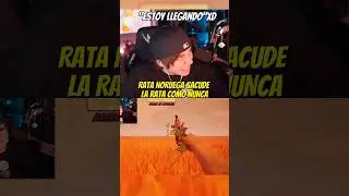 RUBIUS DESCUIDO SACUDE LA RATA (JUEGO DE TERROR GOTY) #rubius #memes #humor #shorts