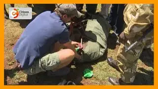 KWS in awe as Meru farmers rescue elephant calf