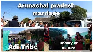 Arunachal Pradesh Marriage Party // Adi Tribe// Beauty of Culture //#arunachalpradesh #northeast