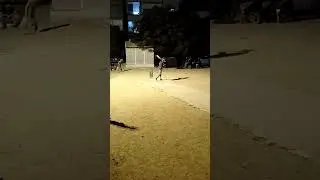 REX SPORTS k Opener And Senior Player Sani Ki Khatarnaak Batting #cricket #classic #sports #onfire