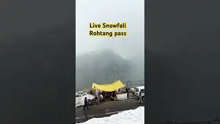 Snowfall in Rohtang pass  🌨️ #snowfall #rohtang #manali #shortsfeed #pahadivlogs