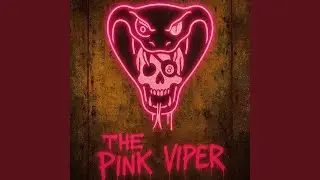 Head Hunnies (The Pink Viper)