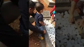 Makam admin cayder